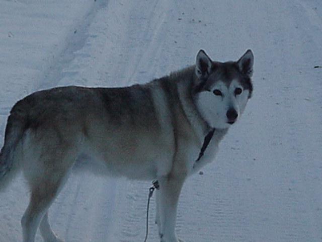 Katie on the Trail