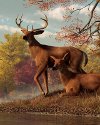 Glade and Ivory: Chapter Thirty