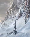 Glade and Ivory: Chapter Twenty Seven