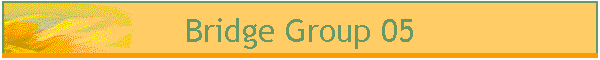 Bridge Group 05