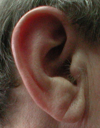 ear