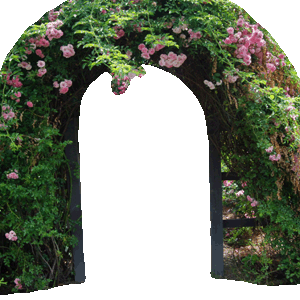 (arched trellis)