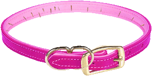(spiked collar)