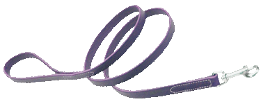 (leash)