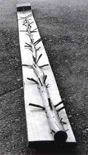 Guiseppe Penone