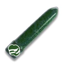 GS Vibrator