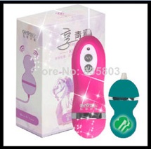 GSvibratorRC