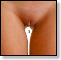Pasted Graphic 1
