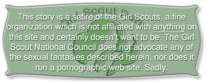 gs-disclaimer