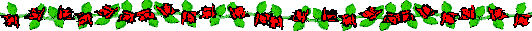 barroses1