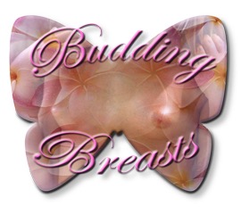 Budding Butterfly