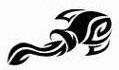 Canon symbol