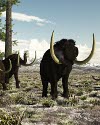 Glade and Ivory: Chapter One