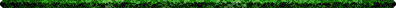 Divider Image