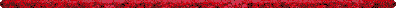 Divider Image