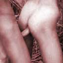 Bumming cocks