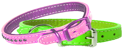 (two collars)
