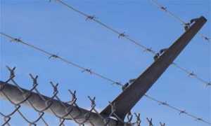 (wire fence)