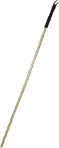 (Rod's rod)