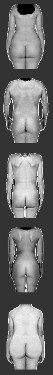 body