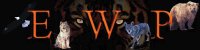 Electronic Wilderness Publishing