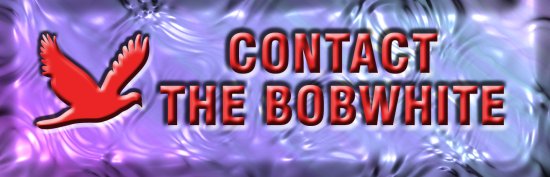 contact bobwhite