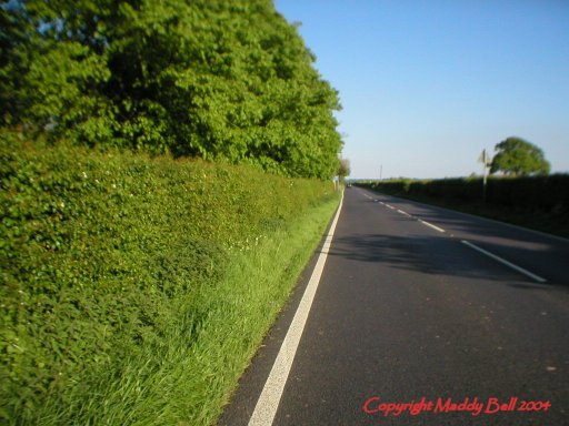 Cuckney white line